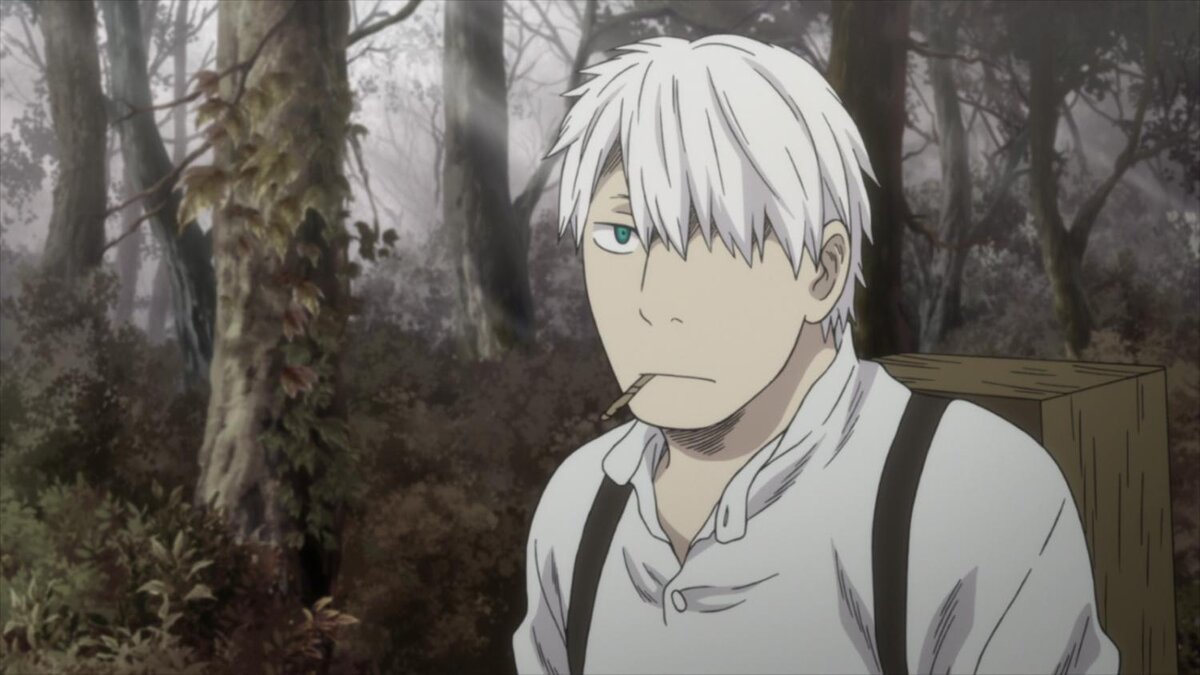   "Мастер Муси"