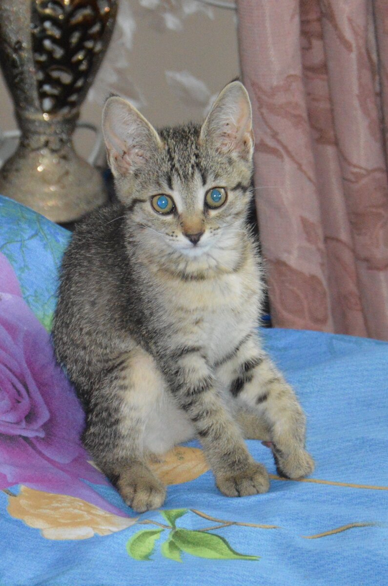 фото из личного архива