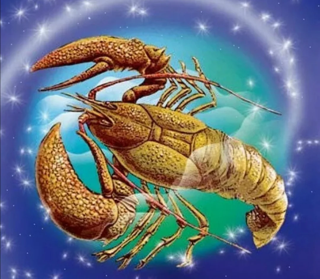 подходящие знаки зодиака для рака. совместимость мужчинаирак женщина блищнец. подходящие знаки зодиака для рака. описание знаков зодиака. детский гороскоп.