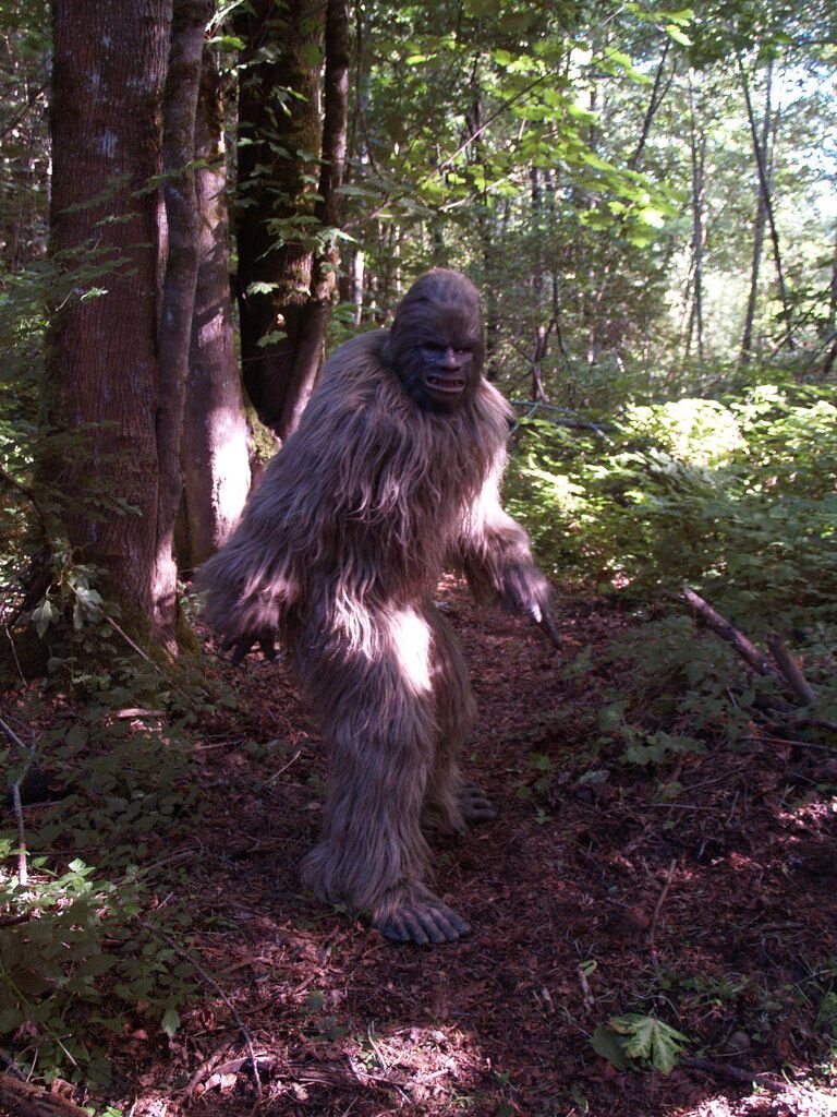 Тут ясно что использован костюм Йети.