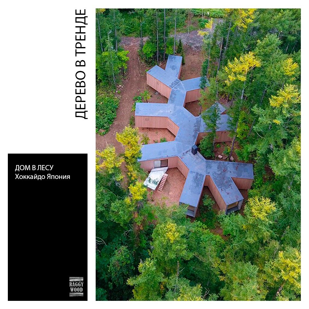 Фото florian busch architects