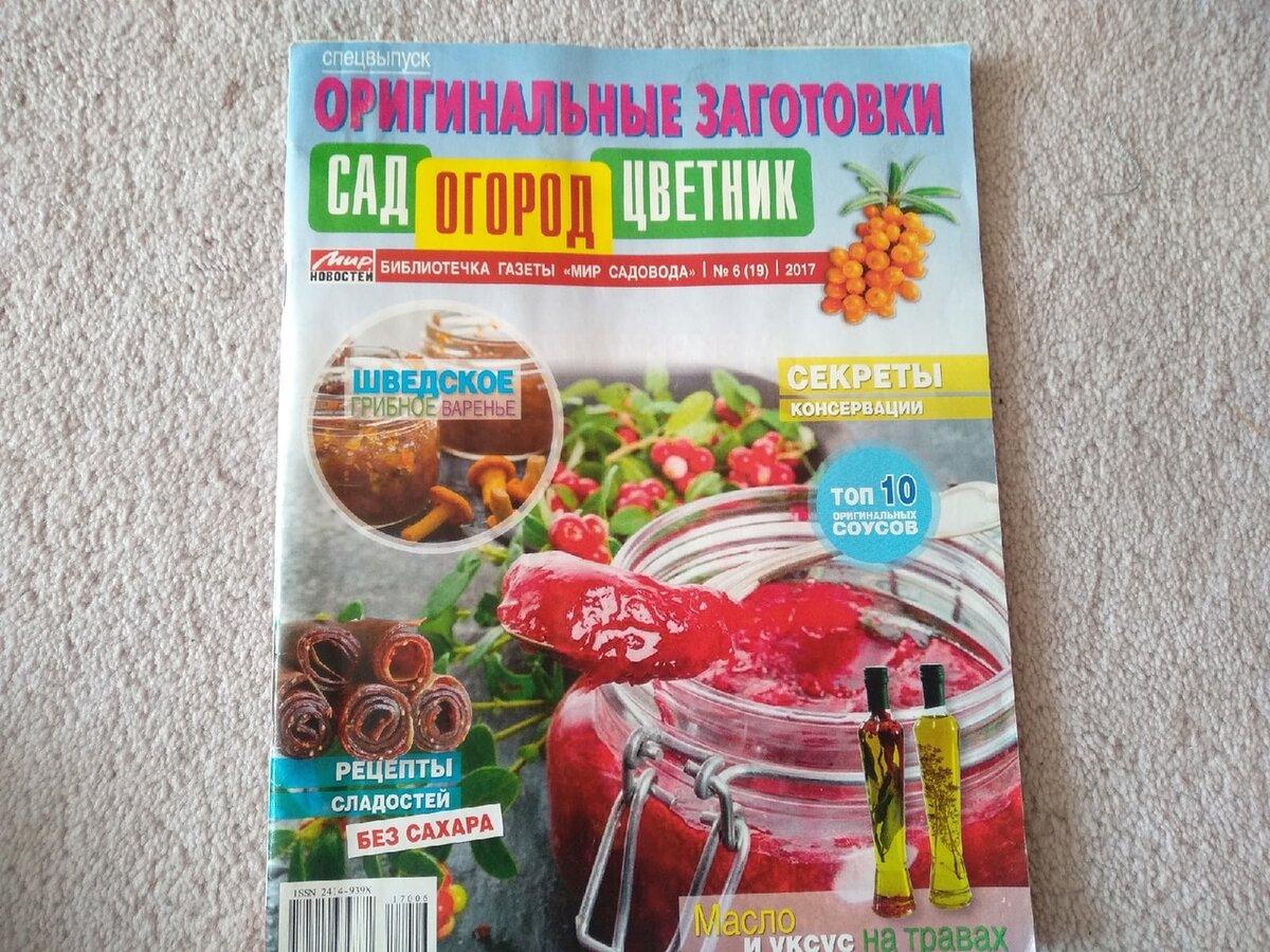 Делала ароматное масло с базиликом. О чём не предупредили авторы рецептов |  Деревенская душа | Дзен