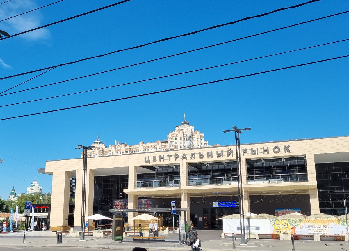 Едем на юг на машине, день второй - рынок в Воронеже, ночевка в Краснодаре  | Покупаю и готовлю | Дзен