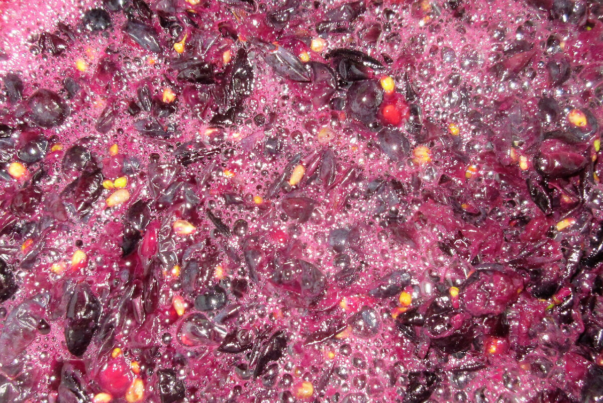 Чтобы получить сусло и сделать вино, ягоды винограда надо раздробить. Фото автора