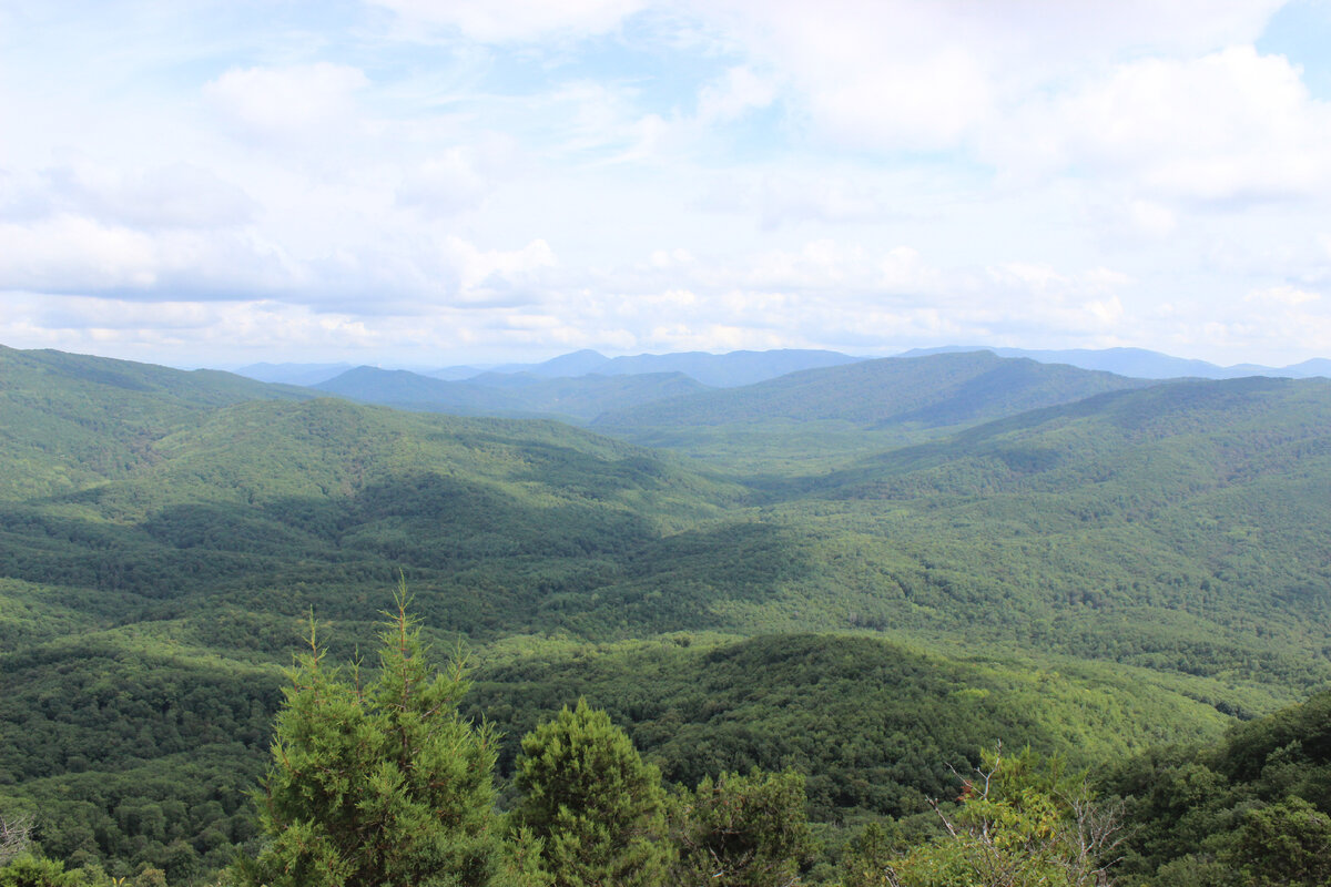 В поход я шел ради таких видов, но их оказалось немного.
