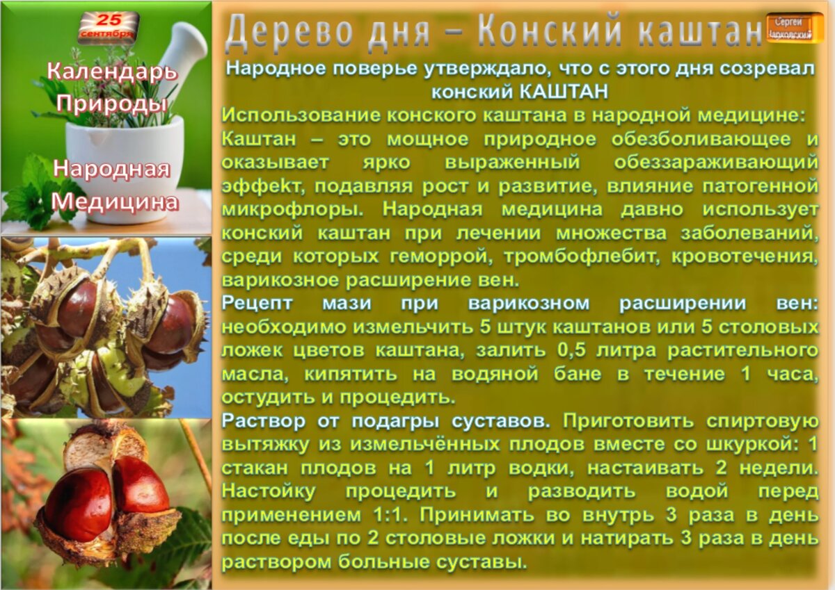 25 сентября - все праздники дня во всех календарях. Традиции, приметы,  обычаи и ритуалы дня. | Сергей Чарковский Все праздники | Дзен