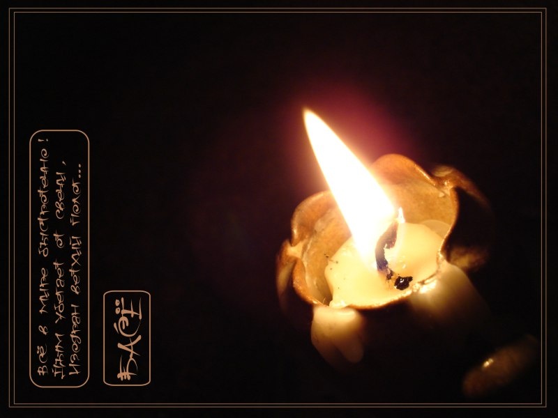 фото и обработка автора