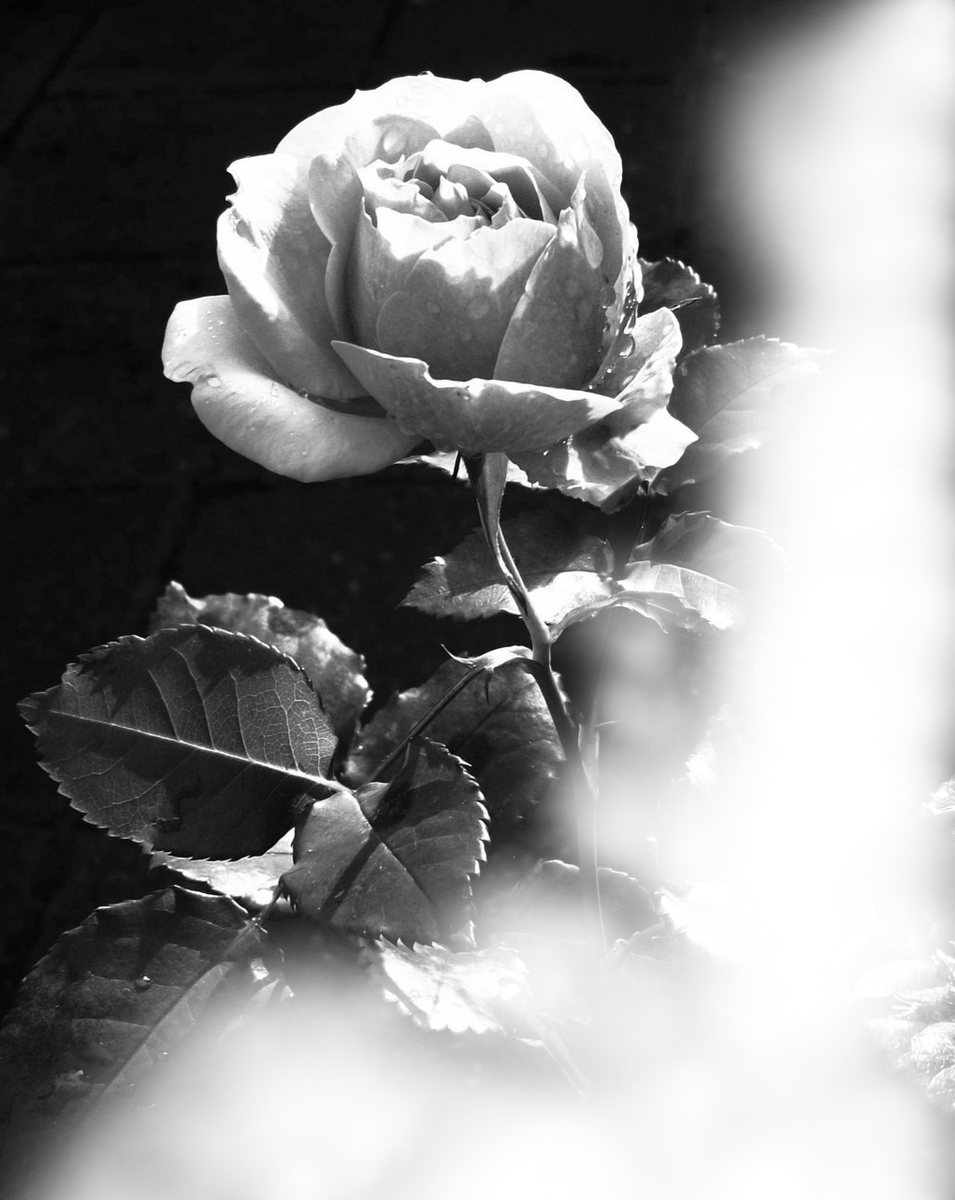 Из свободного источника Интернет 