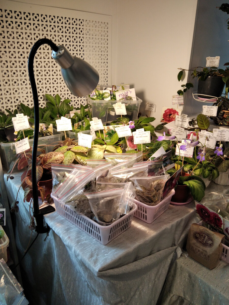 Заботливо досвечивают  столики. 