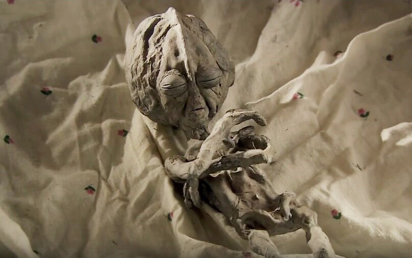 Кадр из фильма "Внеземной". Источник - Яндекс.Картинки