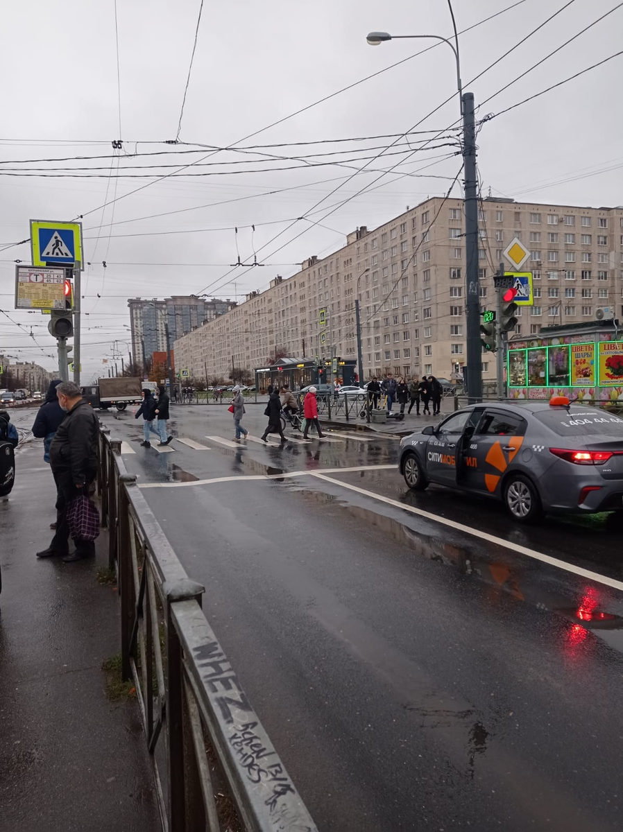 Голубоглазый вредина, пожалуйста, не подведи нас и СЕБЯ. 🙏 ОБНОВЛЕНО:  поймать его сложно | КОТО🐈БЛОГ | Дзен