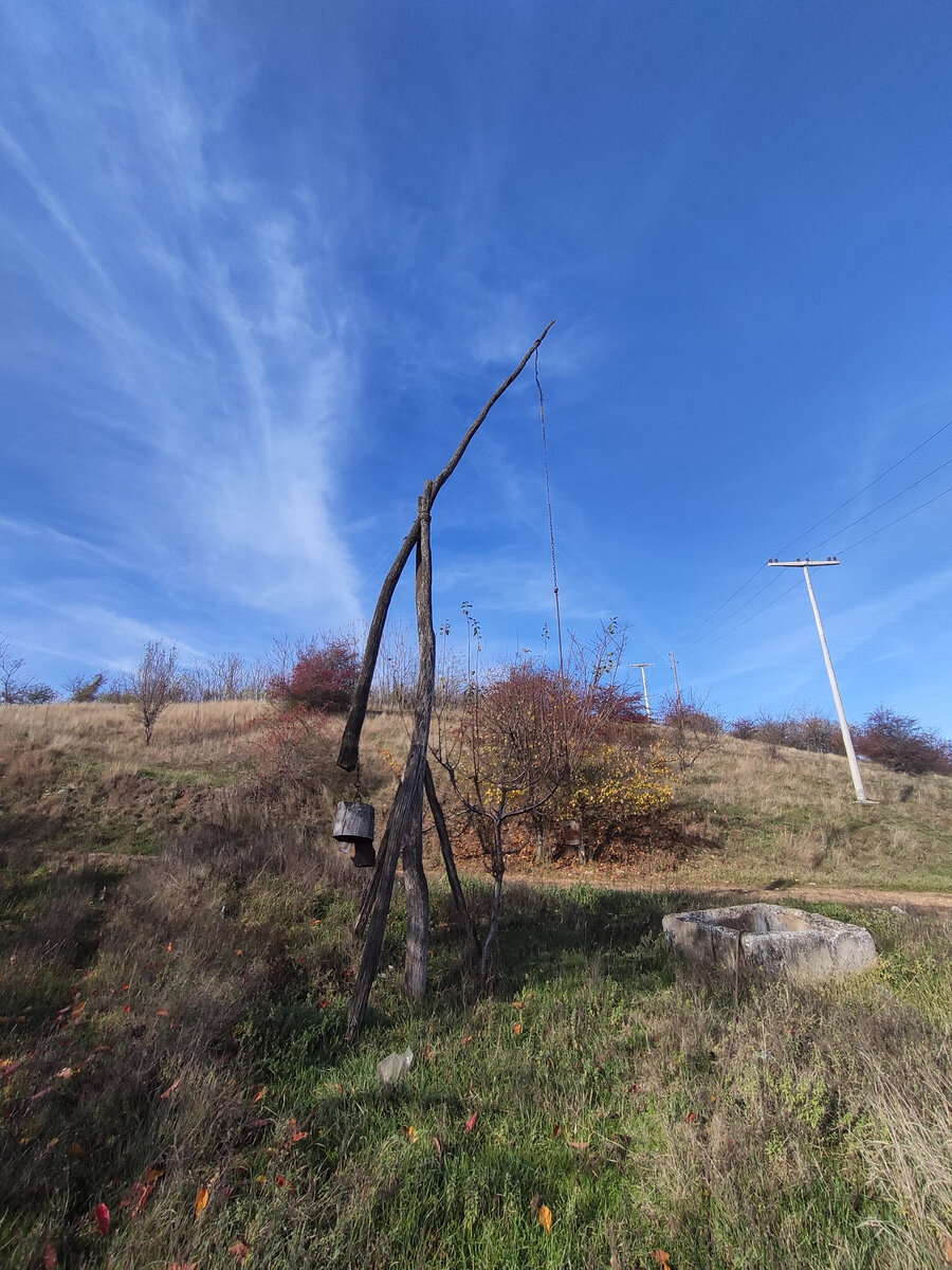 В близи гордая птица.