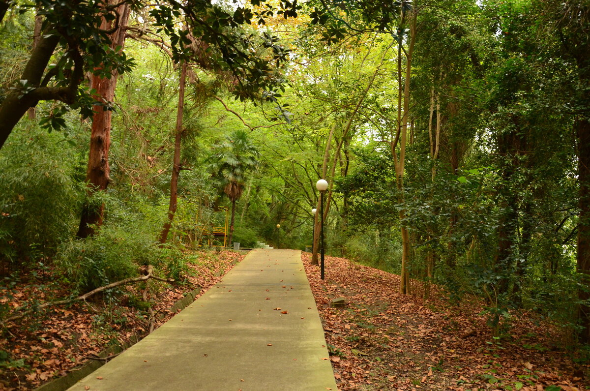 По тропе бегают спортсмены, просто гуляют люди.