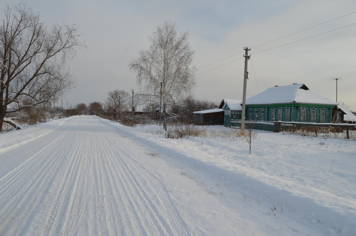 Фото с видом на наш дом сделано А.Полищук. Он наш сосед и иногда присылал нам фото, мол - все нормально, все цело, дом вас ждет. 