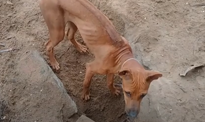 Смотрим, что они вытворяют 👉