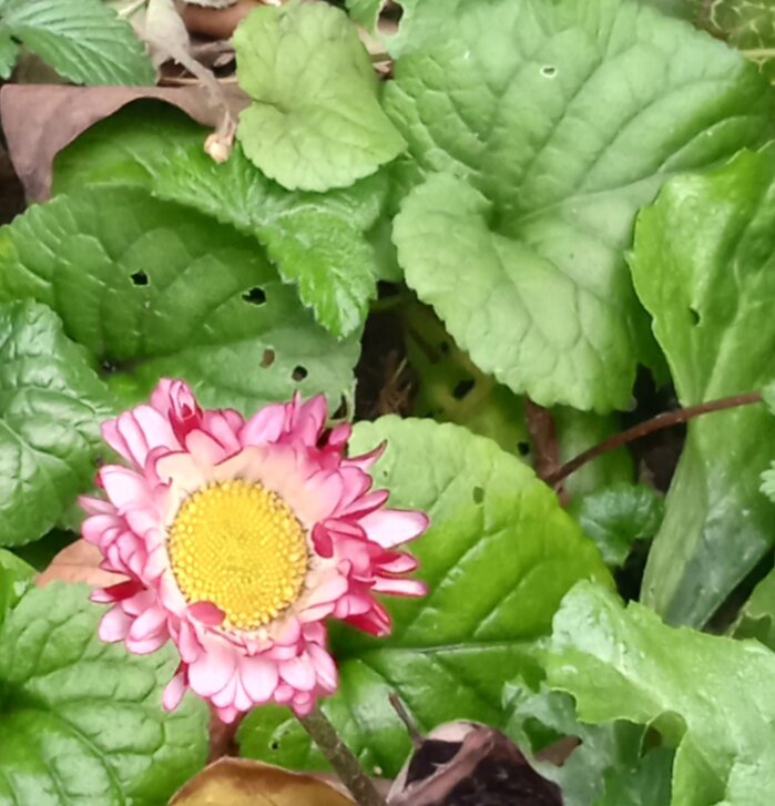 все фото авторские