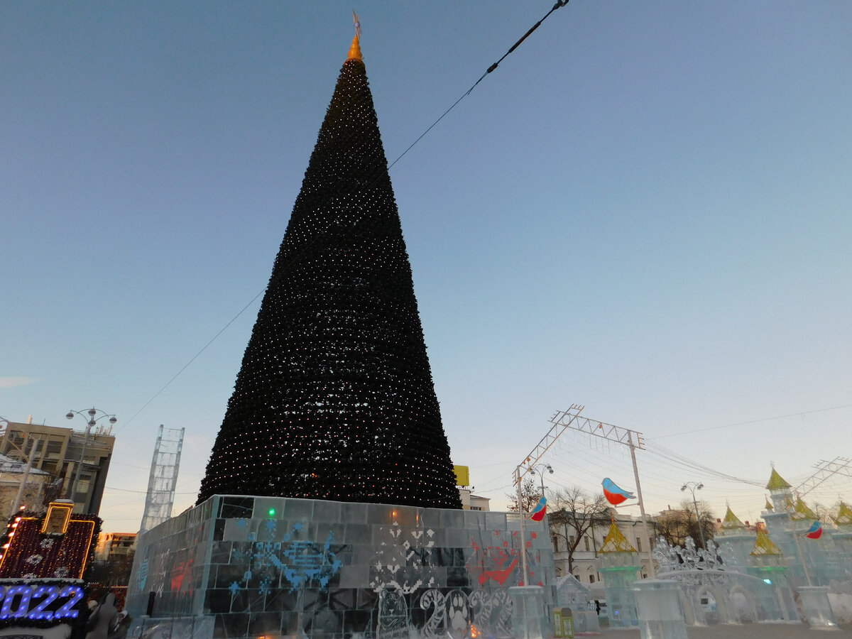Ёлка в городке искусственная. Фото автора.
