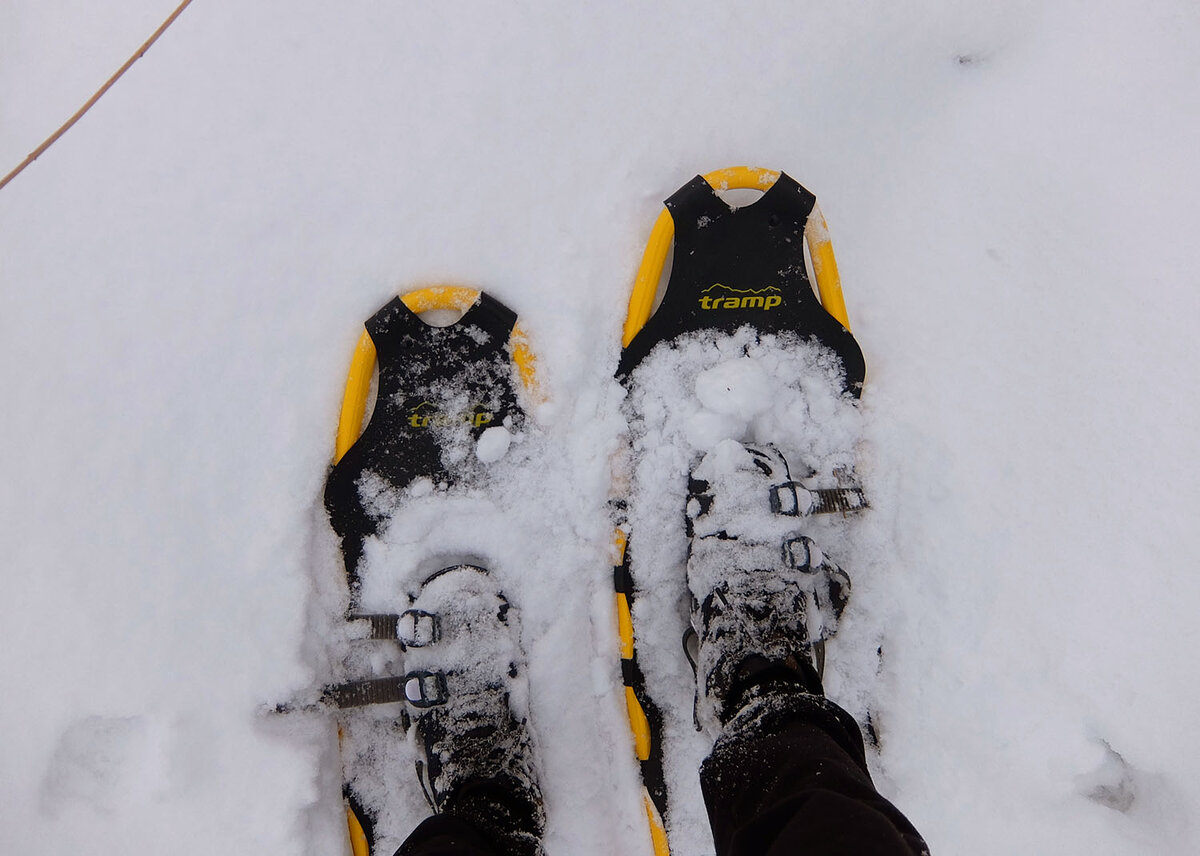 Идём на снегоступах