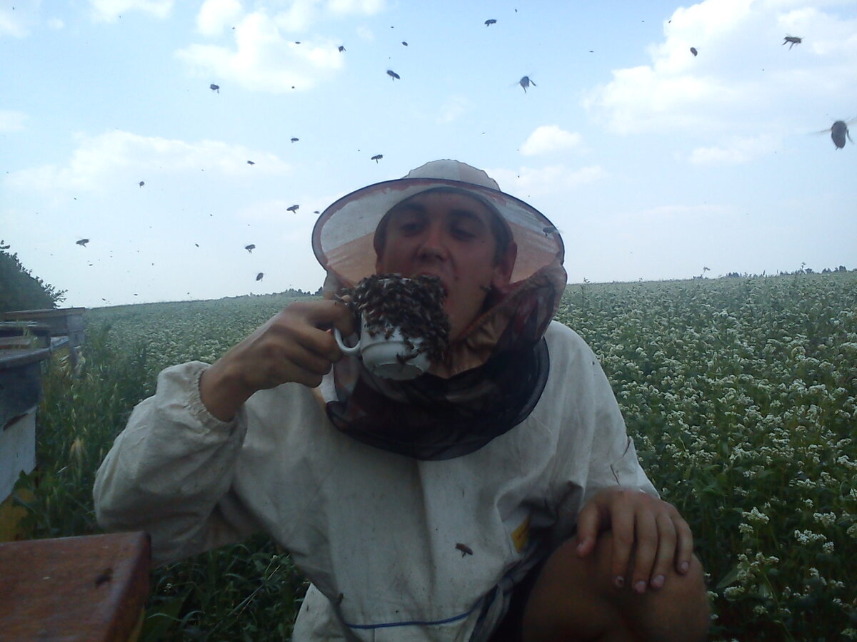 Живых пчел лучше не трогать, если вы не пчеловод))