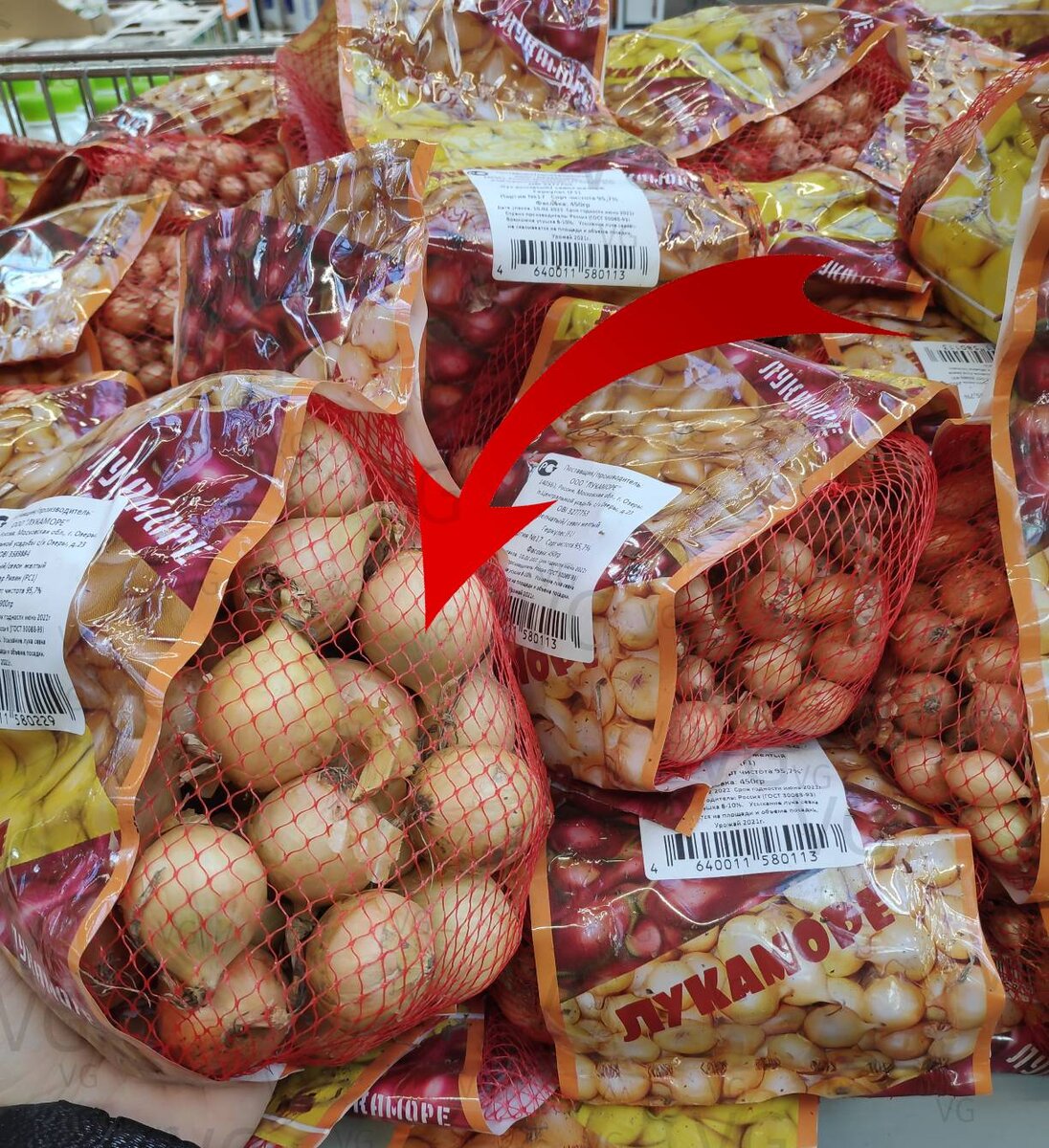 Данный лук выборок, который продают по цене (и под гордым именем) севка для выгонки подходит идеально! Цена только "кусается" ))