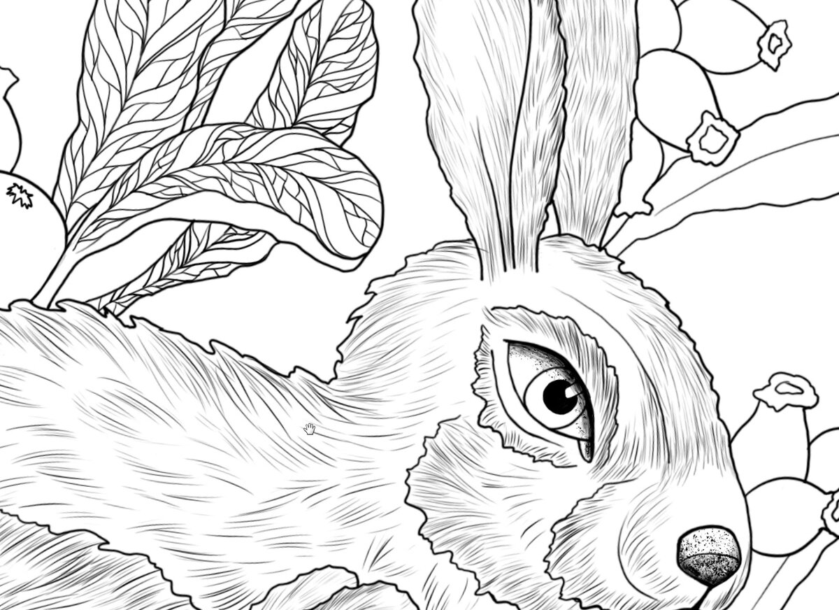 Фрагмент иллюстрации