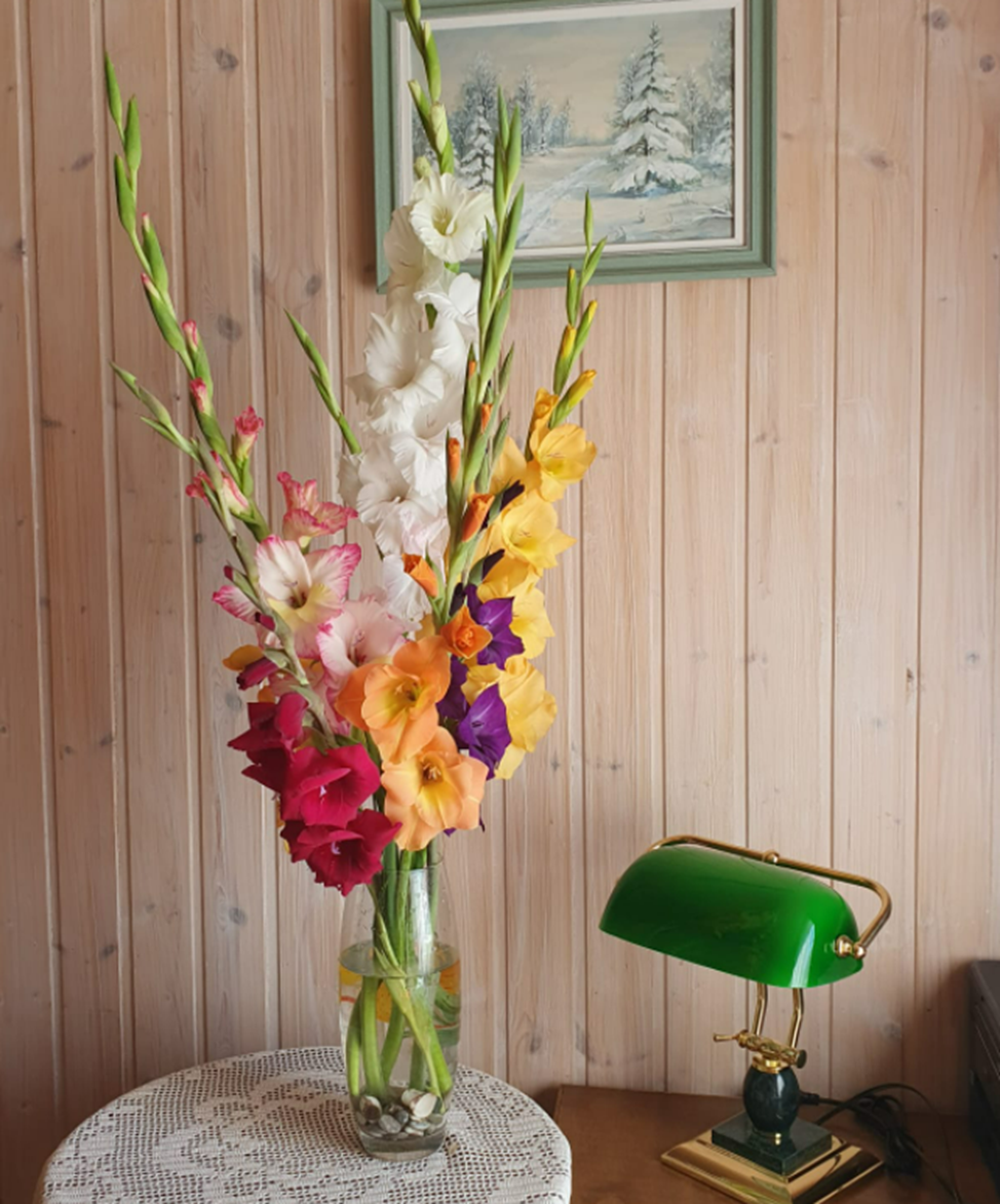 Букет гладиолусов со своей клумбы