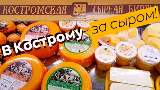 В Кострому - за сыром!