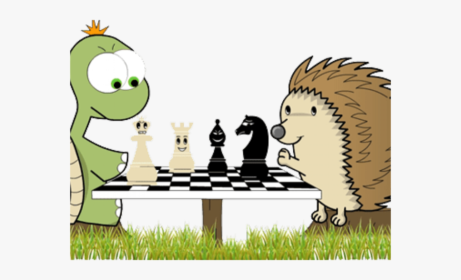 Фото взято из открытых источников. 