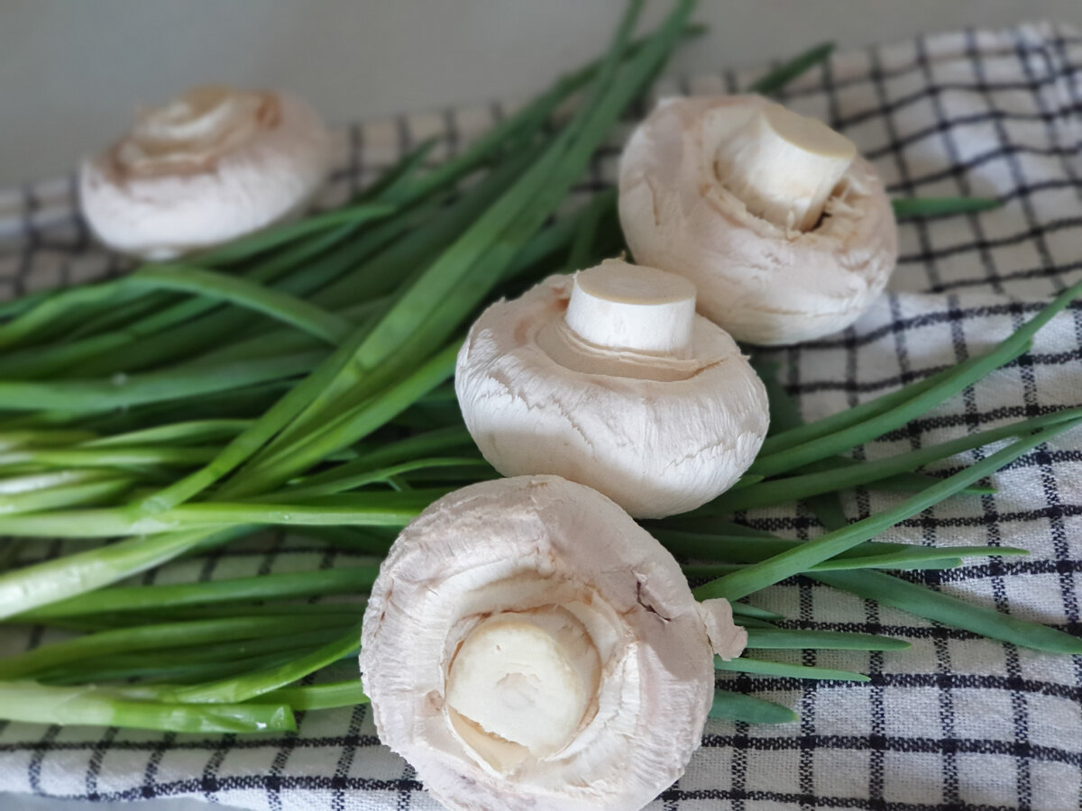 Лучок, кстати, вырос на подоконнике.