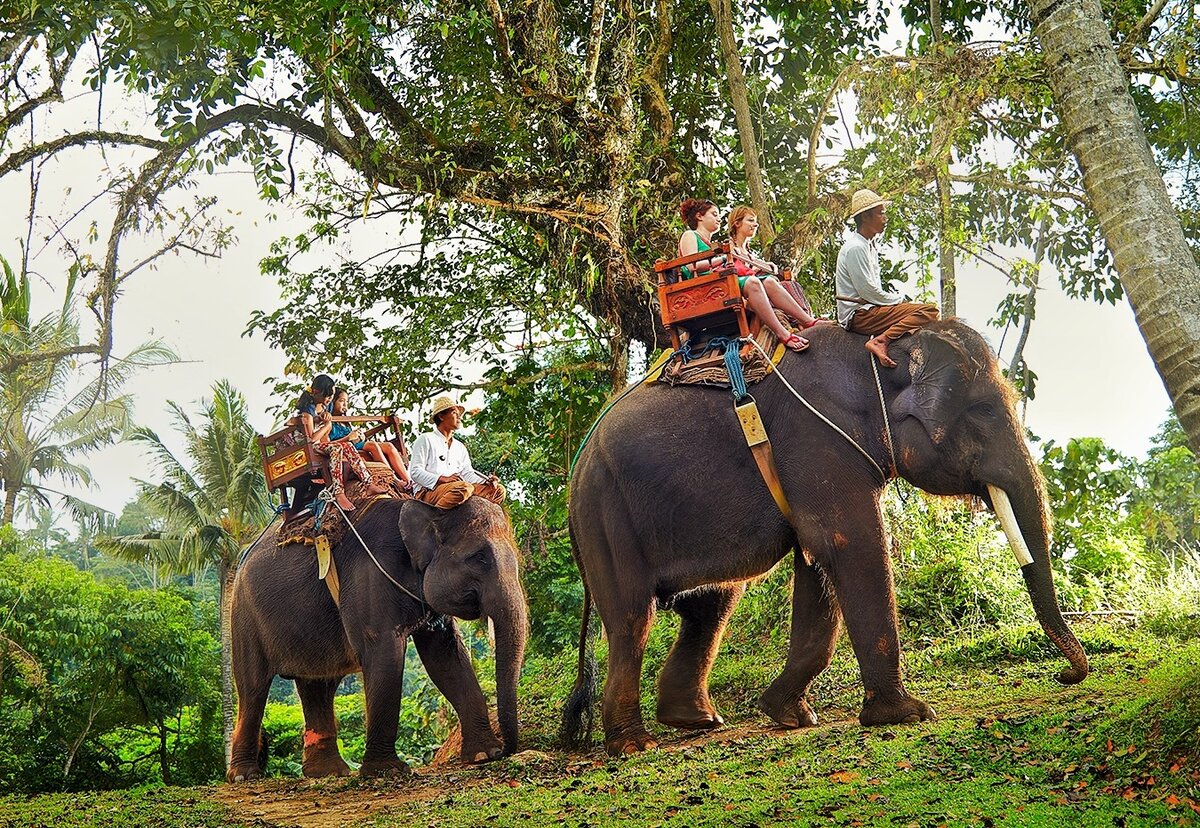 https://balicabservice.com/wp-content/uploads/2018/04/elephant_ride-3.jpg