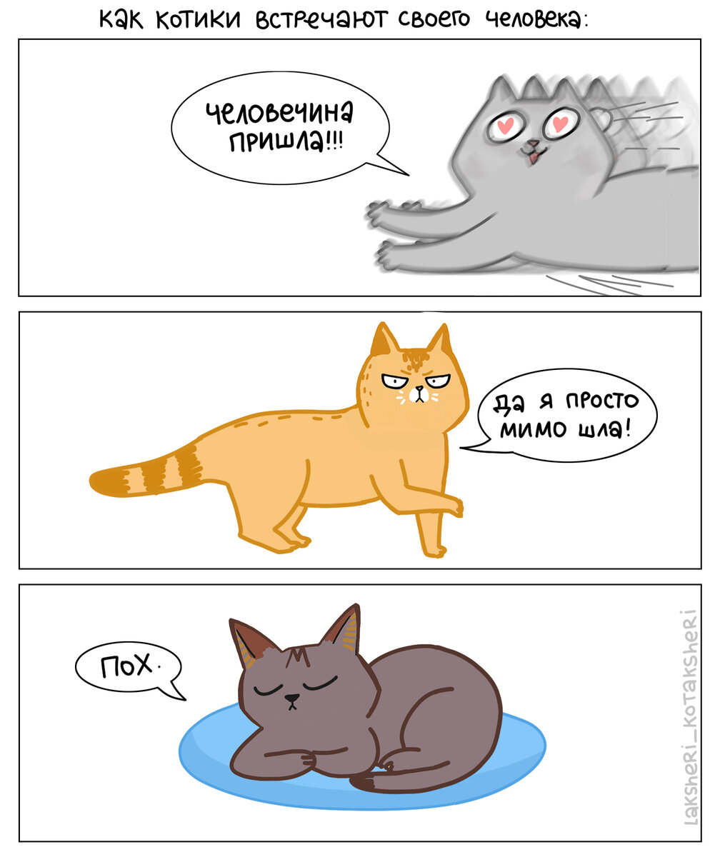 Долечка у нас радуется всем и бежит встречать, Белка тоже бежит встречать, но делает вид, что просто так совпало, а на самом деле она бежит по делам🤣 
Арчибальд Котаныч никуда не бежит, сами прибегут к нему 🤣

А Артурчик, который остался за кадром комикса, тасует эти варианты поведения и действует по настроению 🤣

