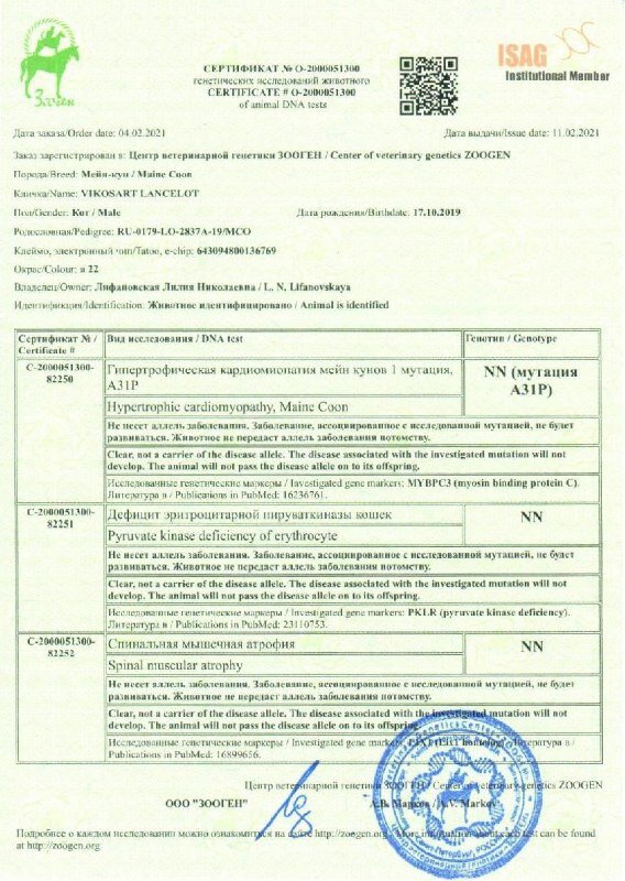 Сертификат