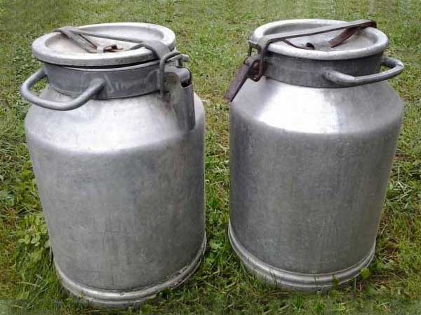 Бидоны для разливного молока. Фото с сайта http://www.simfion.ru/