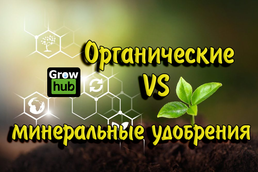 Как использовать жидкие удобрения | Пуршат. Официальный сайт