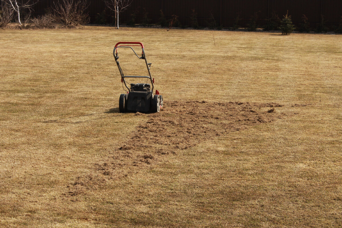 15 апреля - скарификация проведена, можно приступать к подкормке 