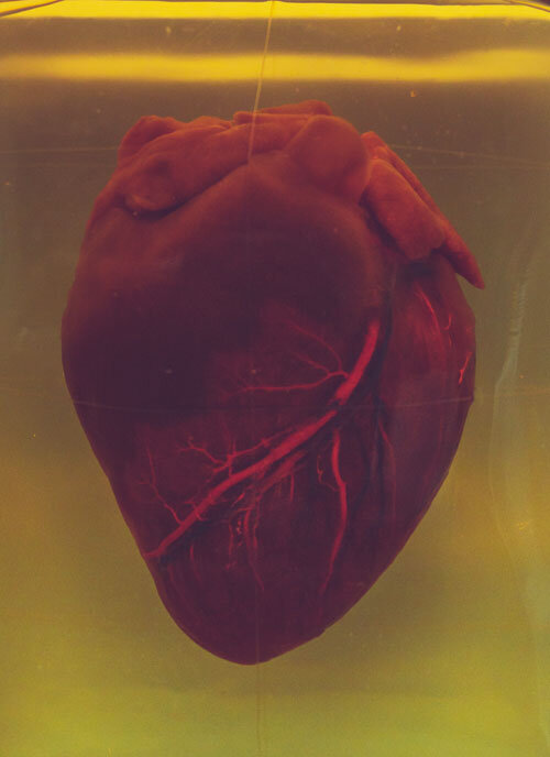 Фото: Camilo Jimenez / Unsplash.com