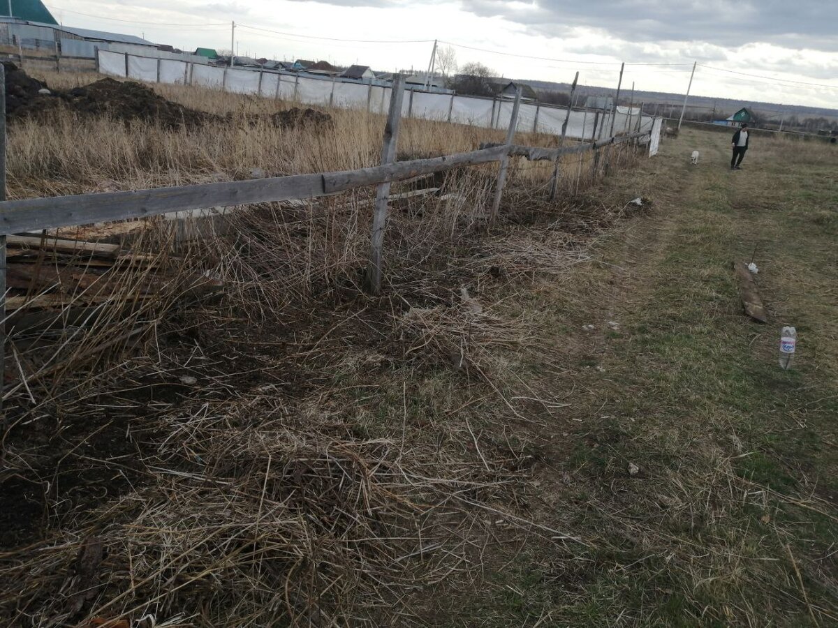 Граблями выгреб все кусты из под забора и сложили кучами. Пока так и оставили, так как занялись копкой фундамента
