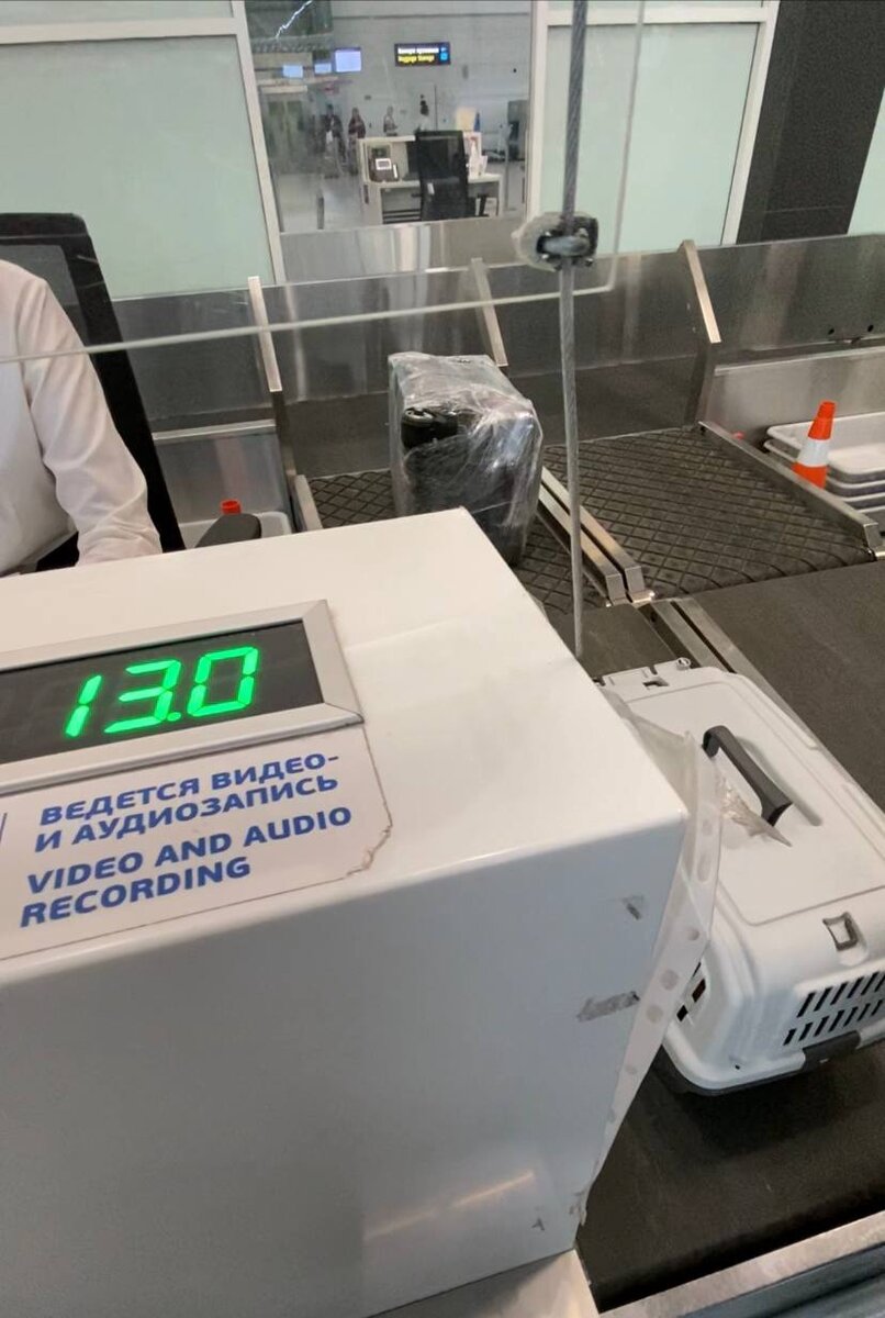 Вес нашего спаниеля с переноской