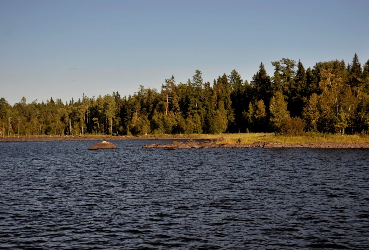 Водлозеро карелия фото