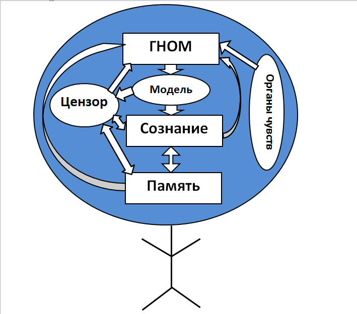 Модель человека