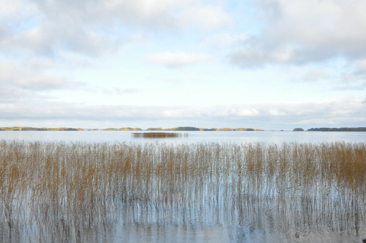 Водные просторы Заонежья. Фото: Алина Голубева, участница фотоконкурса РГО "Самая красивая страна"