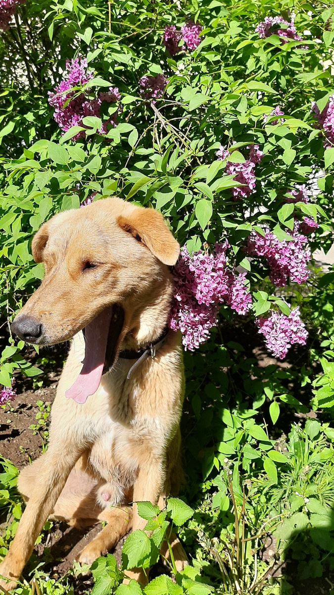 Раненый, но вновь рад жизни
