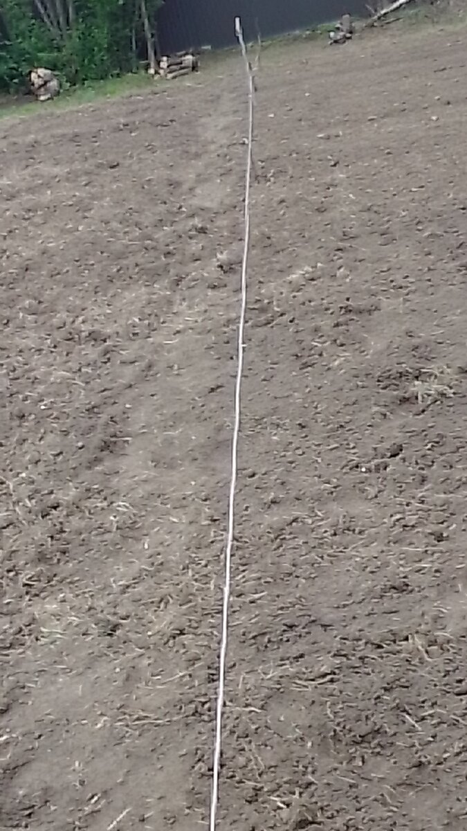 Вдоль верёвки протоптали с двух сторон дорожки, чтобы ноги не тонули