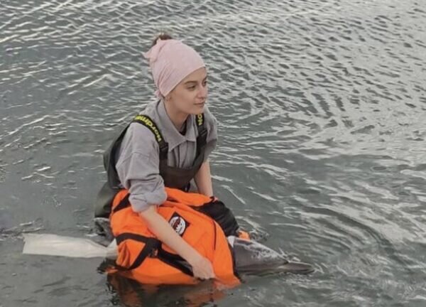    Фото предоставлено центром «Дельфа»