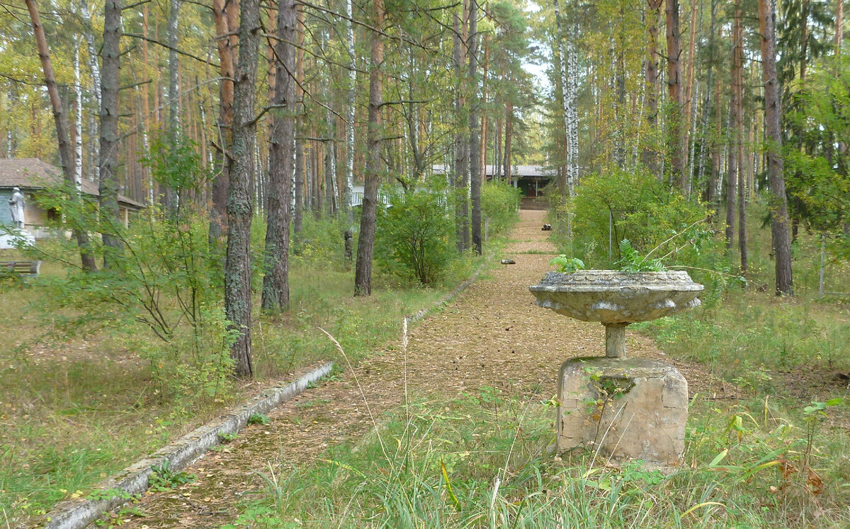 Фото пример. Лагерь в сосновом лесу. Картинка не моя, из интернета.