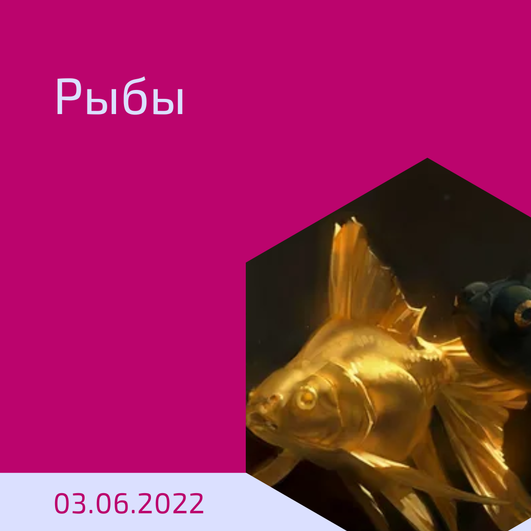 Рыбы - 03.06.2022