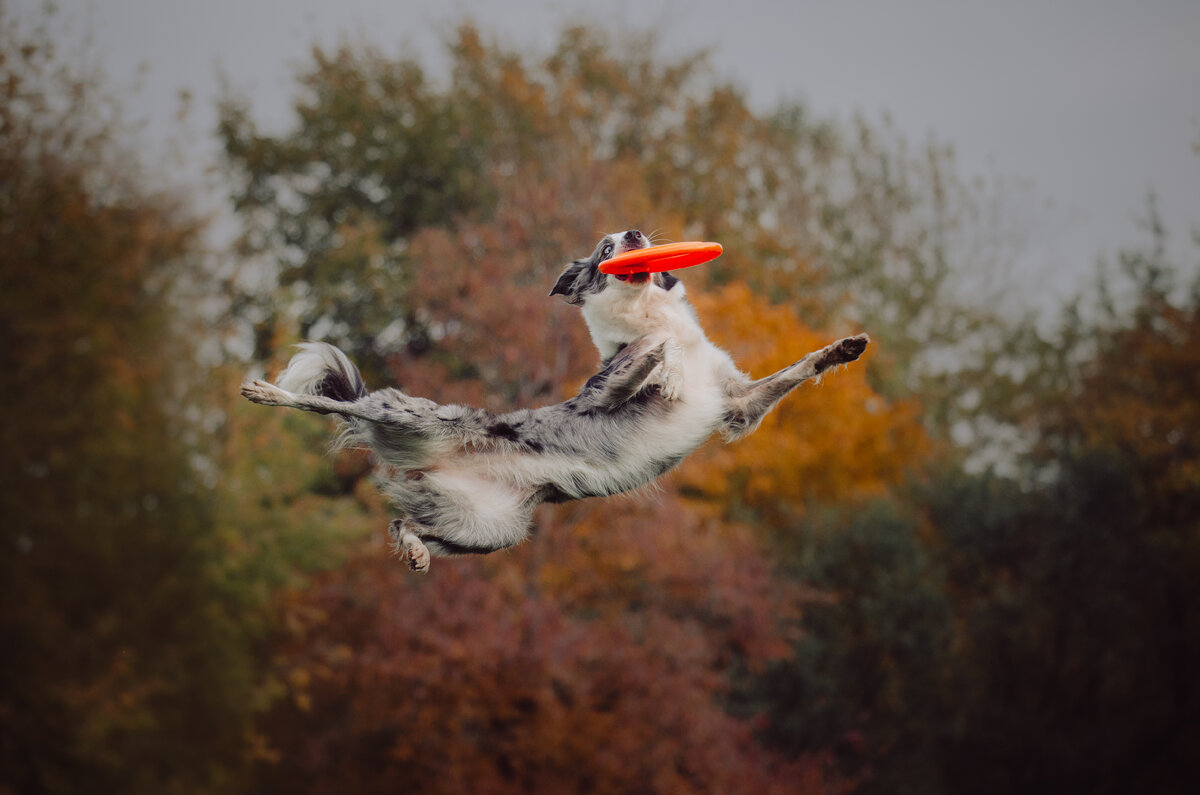 Энци Екатерина