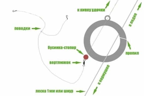 Ловля леща на кольцо с лодки: монтаж и изготовление