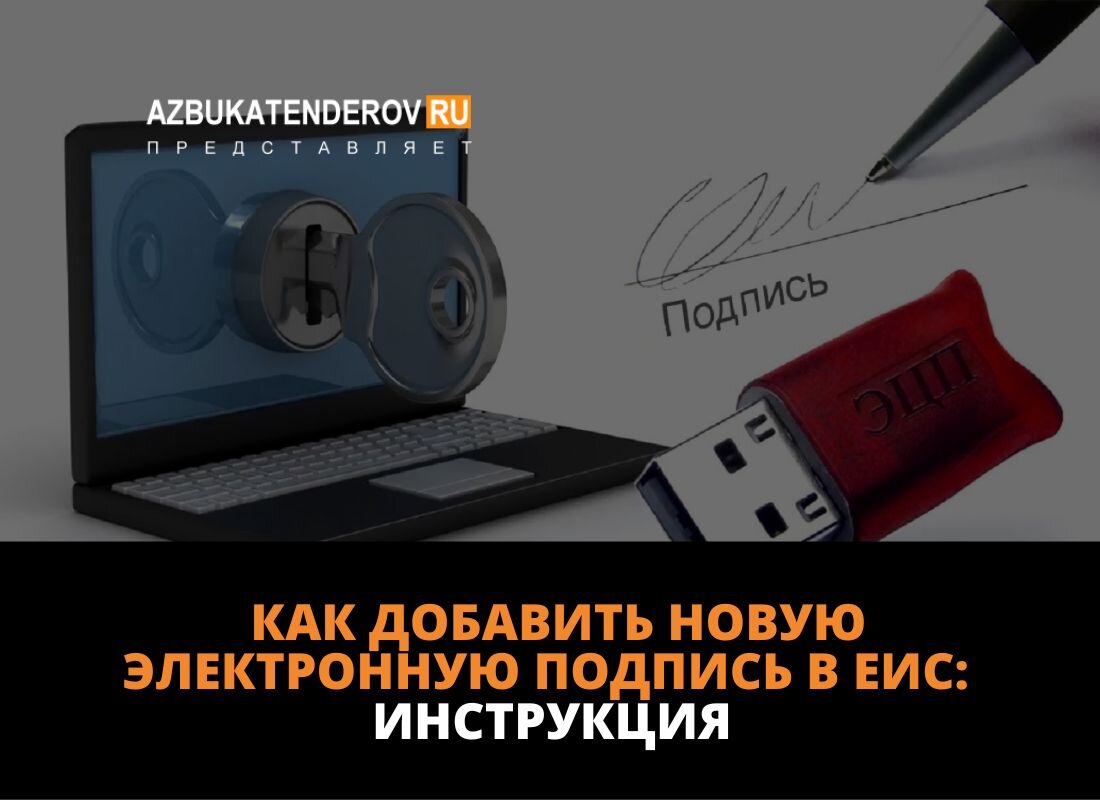 Как добавить новую электронную подпись в ЕИС? Пошаговая инструкция для  участников закупок | Азбука тендеров | Дзен