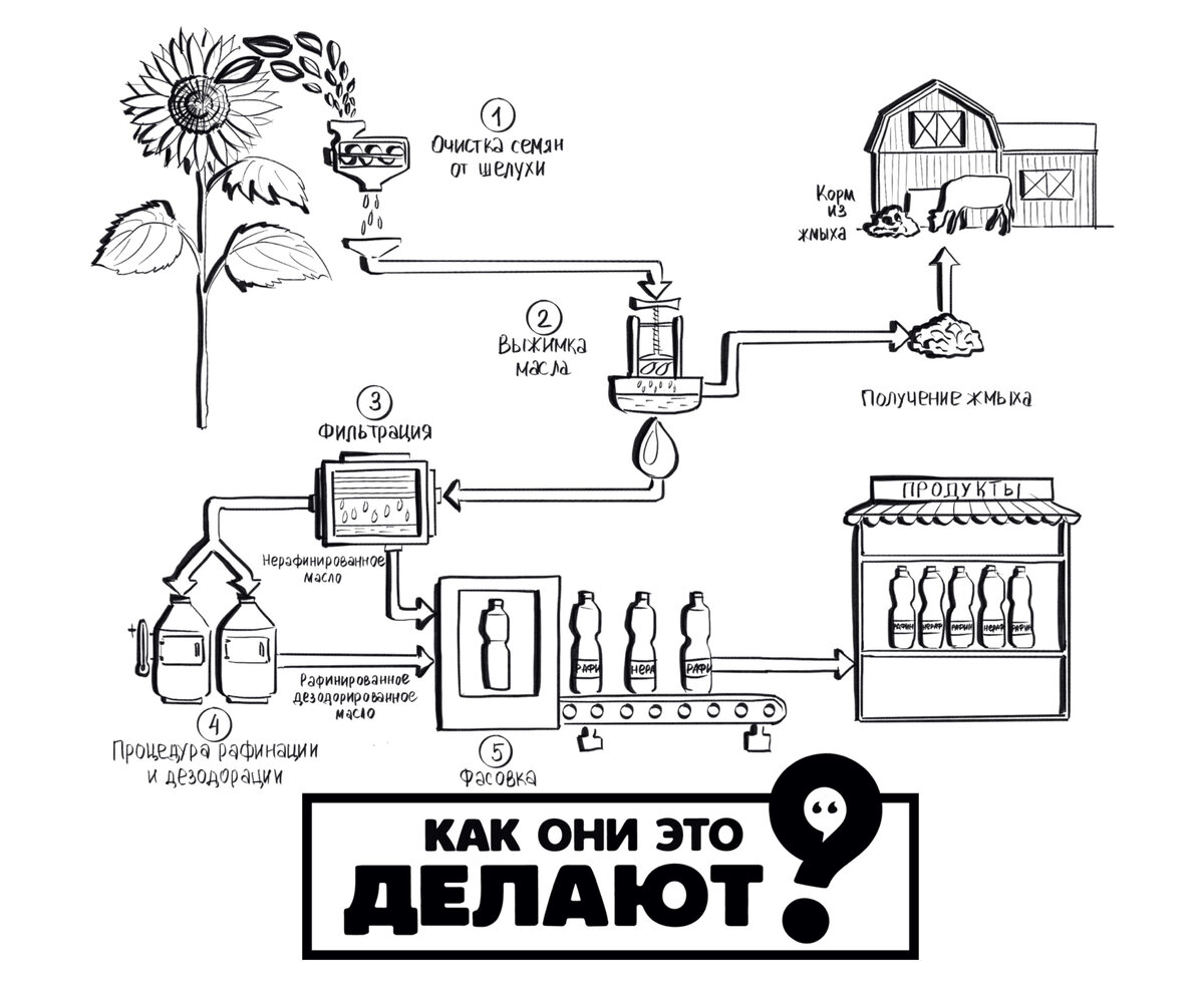 Простой способ приготовить подсолнечное масло дома | Как они это делают? |  Дзен